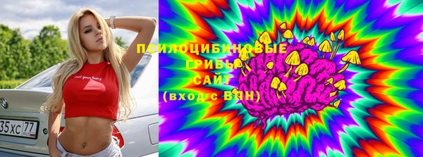 2c-b Абдулино