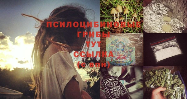2c-b Абдулино